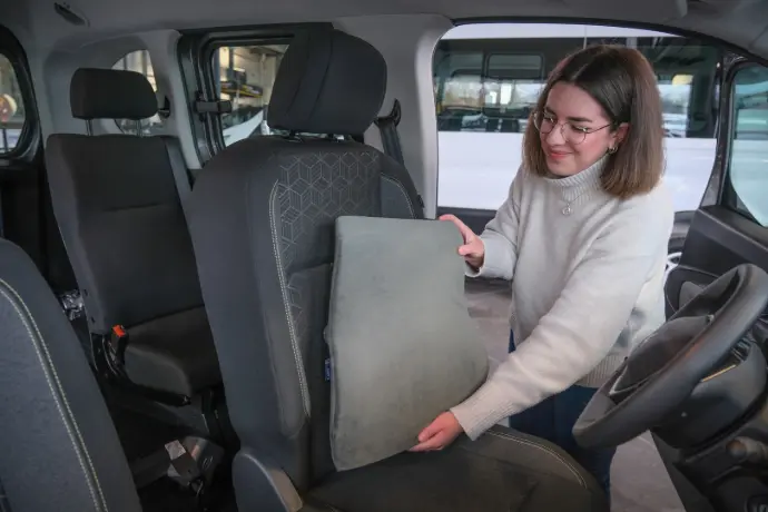 Découvrez les produits de la catégorie Coussins pour le dos Handynamic
